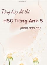 Tổng hợp đề thi HSG tiếng Anh 5 (Kèm đáp án)